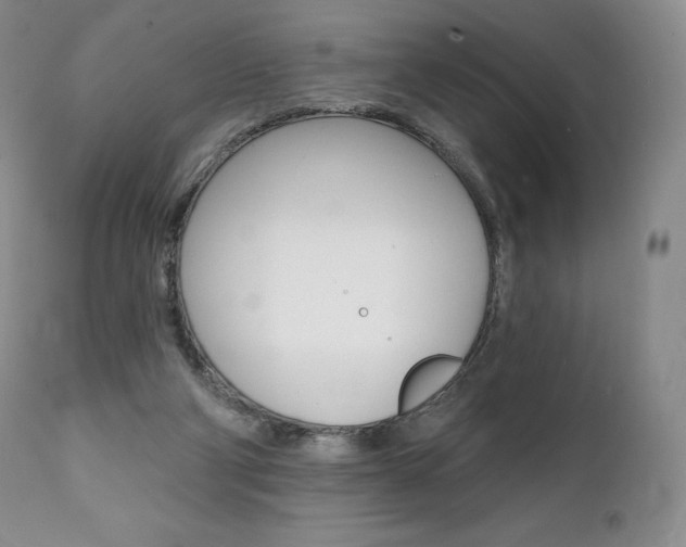 X0000112000114200908031056