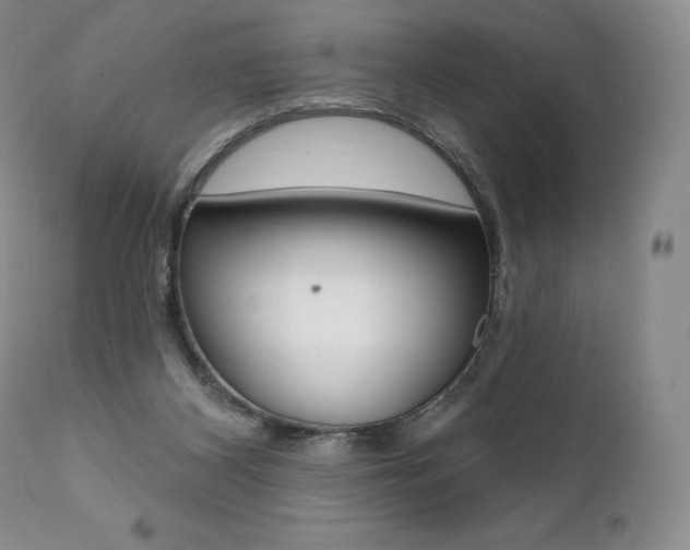 X0000112000116200908031056