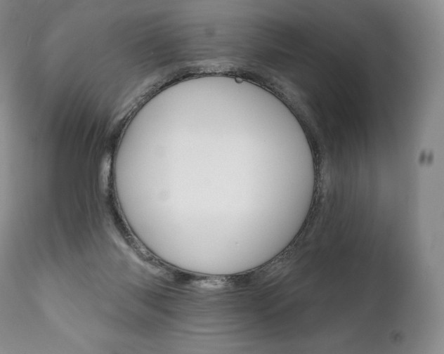 X0000112000118200908031056