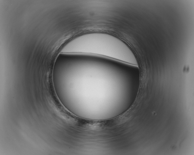 X0000112000120200908031056