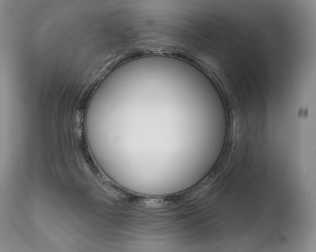 X0000112000121200908031056
