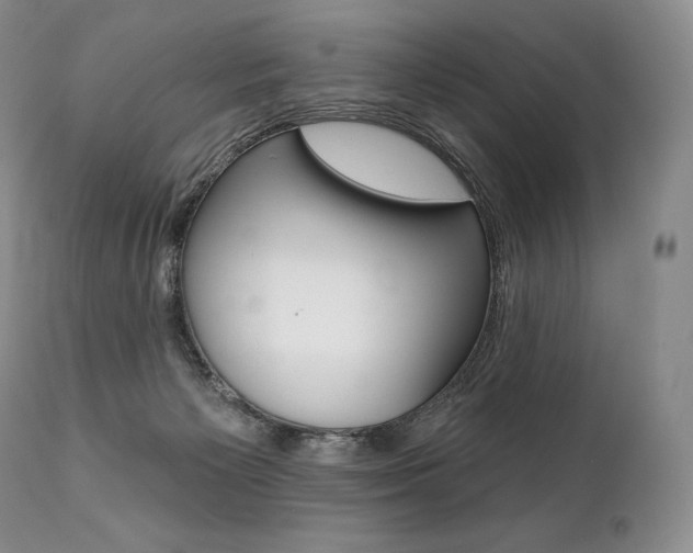 X0000112000125200908031056