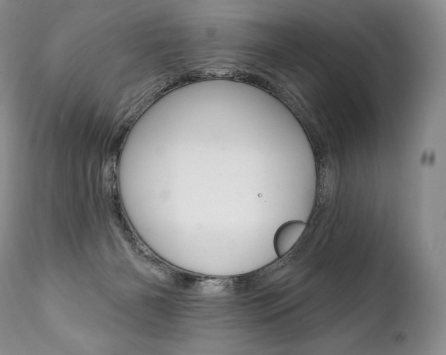 X0000112000126200908031056