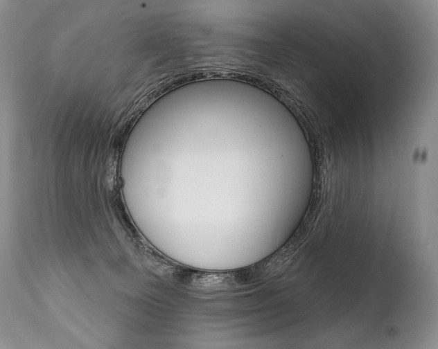 X0000112000129200908031056