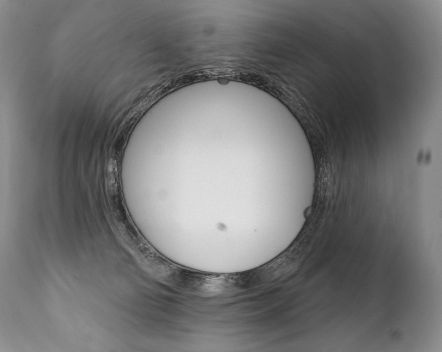 X0000112000130200908031056