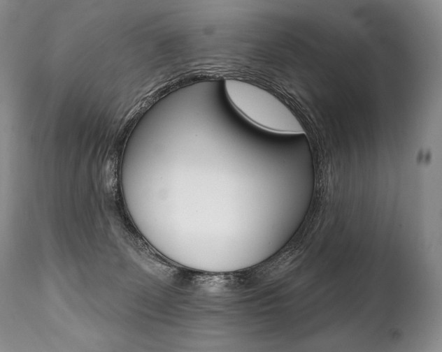 X0000112000131200908031056