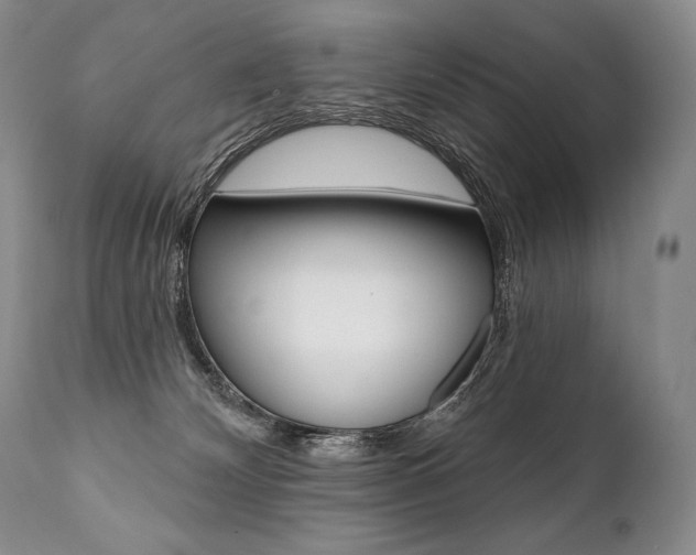X0000112000132200908031056