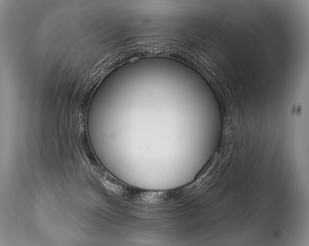 X0000112000136200908031056