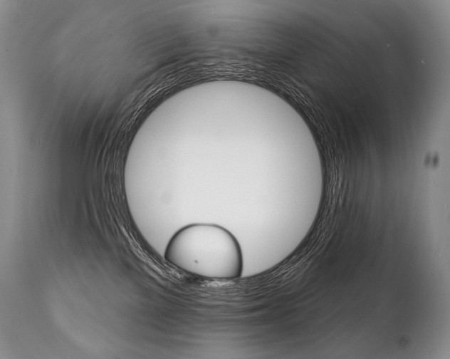 X0000112000137200908031055