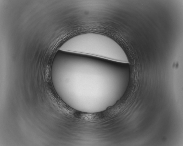 X0000112000139200908031055