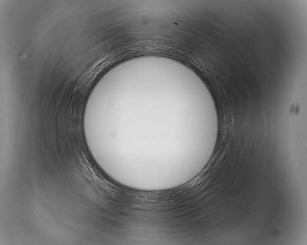 X0000112000140200908031055