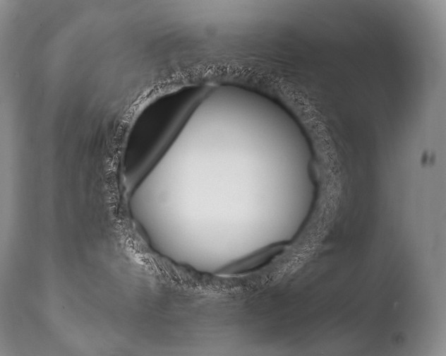 X0000112000144200908031055