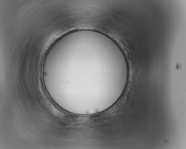 X0000112000145200908031054