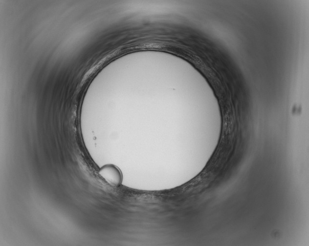 X0000112000146200908031054