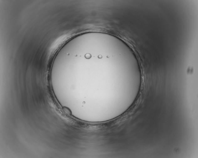 X0000112000149200908031054