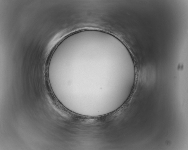X0000112000151200908031055