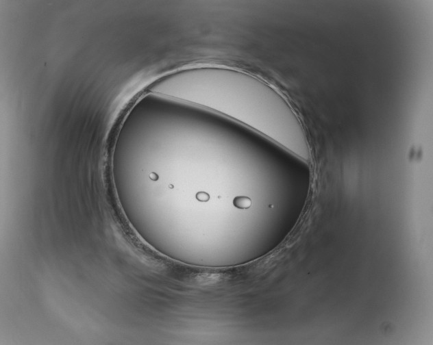 X0000112000152200908031055