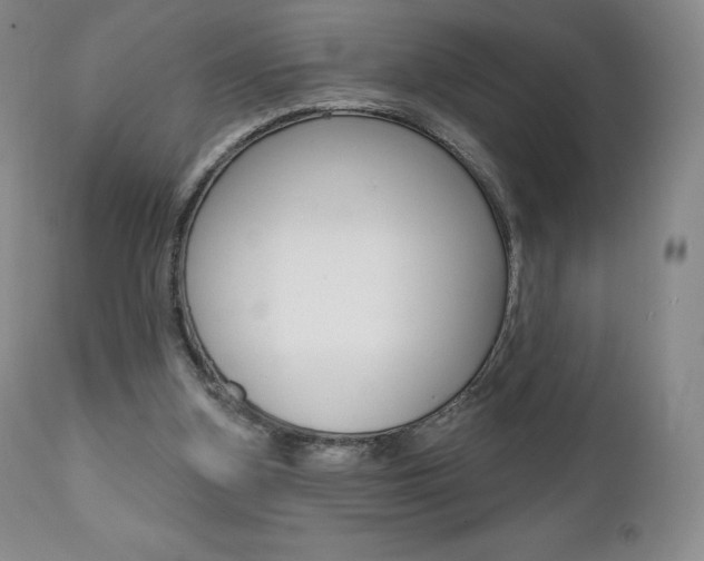 X0000112000155200908031055