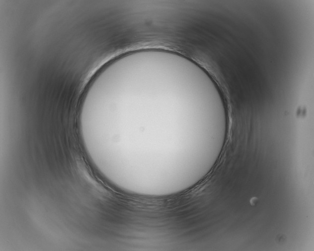 X0000112000156200908031055