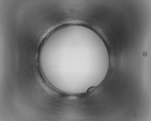 X0000112000159200908031055