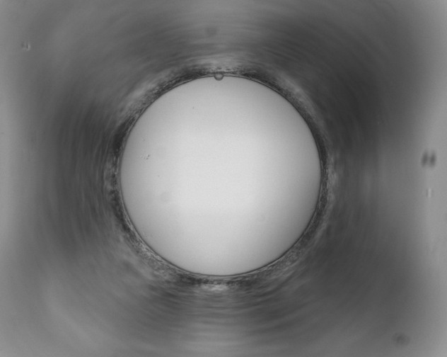 X0000112000161200908031055
