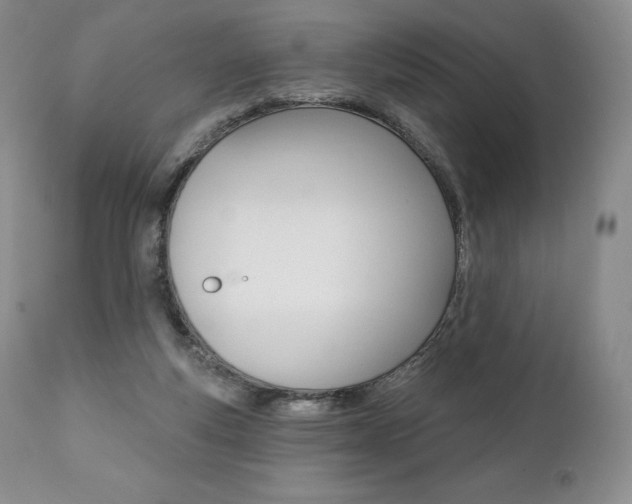 X0000112000163200908031055