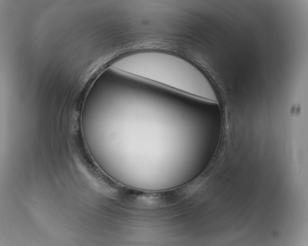X0000112000164200908031055