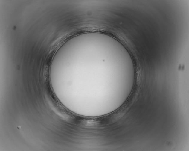 X0000112000165200908031055