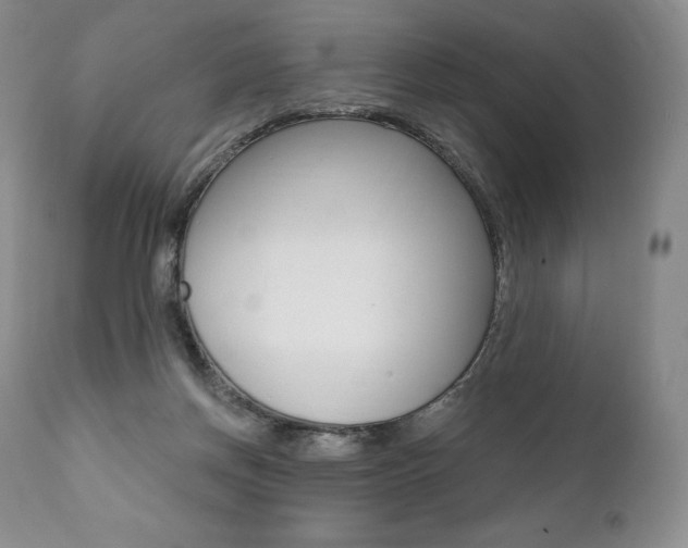 X0000112000166200908031055