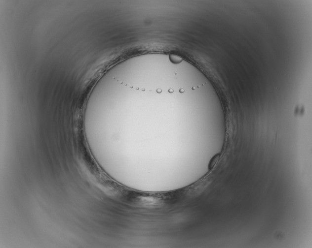 X0000112000167200908031055