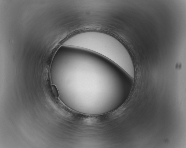 X0000112000168200908031055