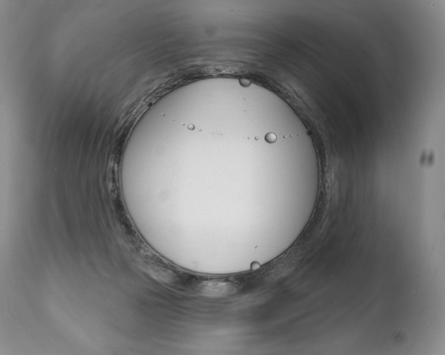 X0000112000169200908031055