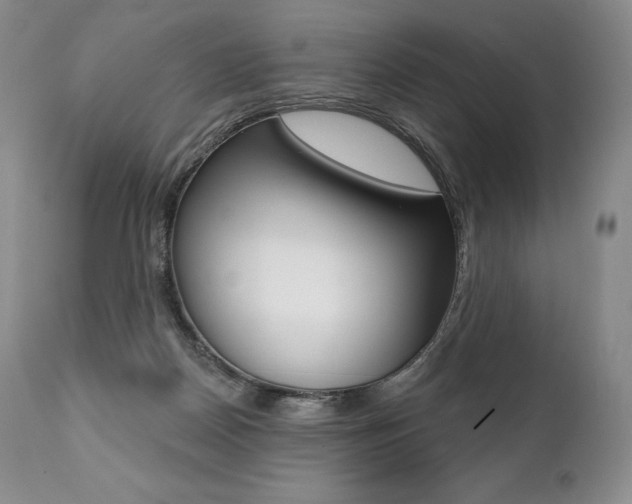 X0000112000170200908031055