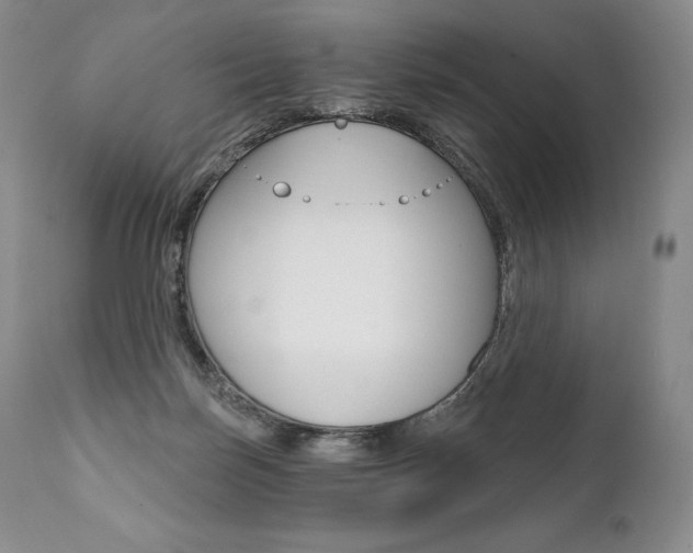 X0000112000171200908031055