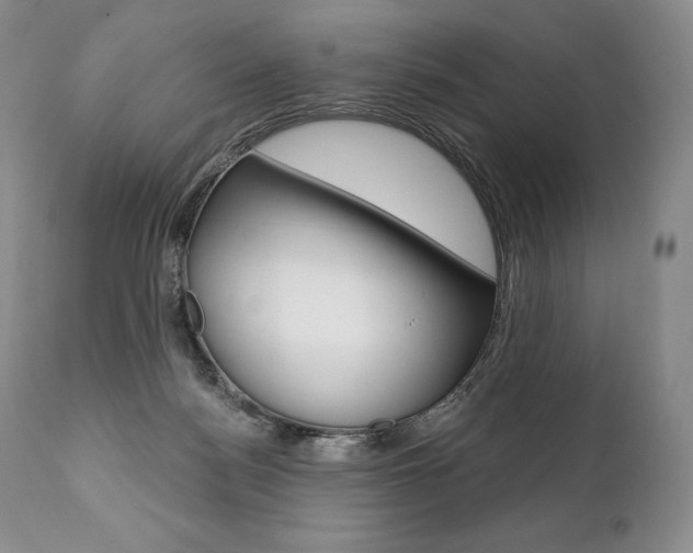 X0000112000172200908031055