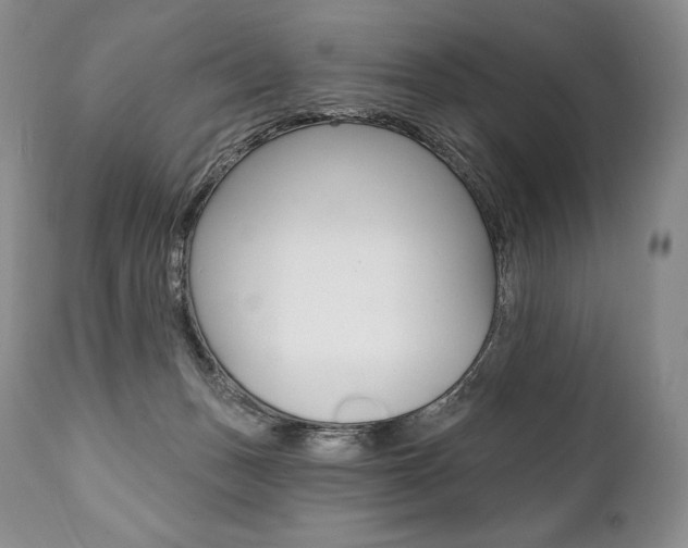 X0000112000175200908031055