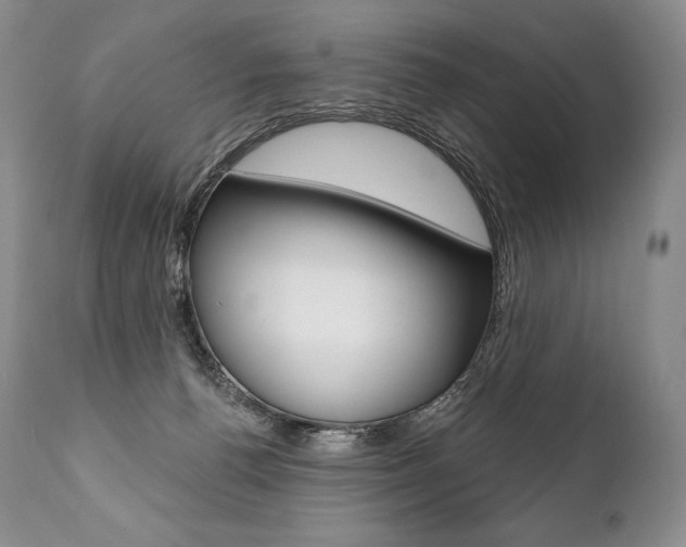 X0000112000176200908031055