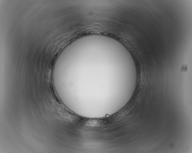 X0000112000177200908031055