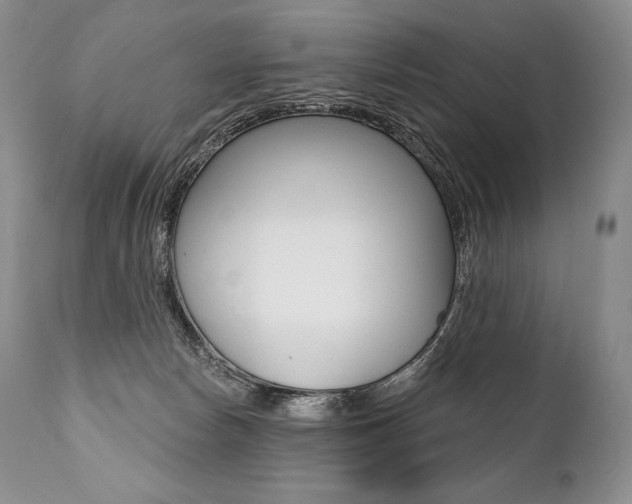 X0000112000178200908031055