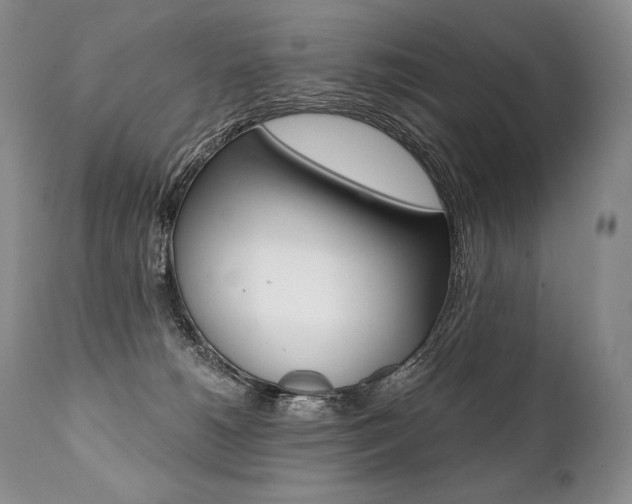 X0000112000180200908031055