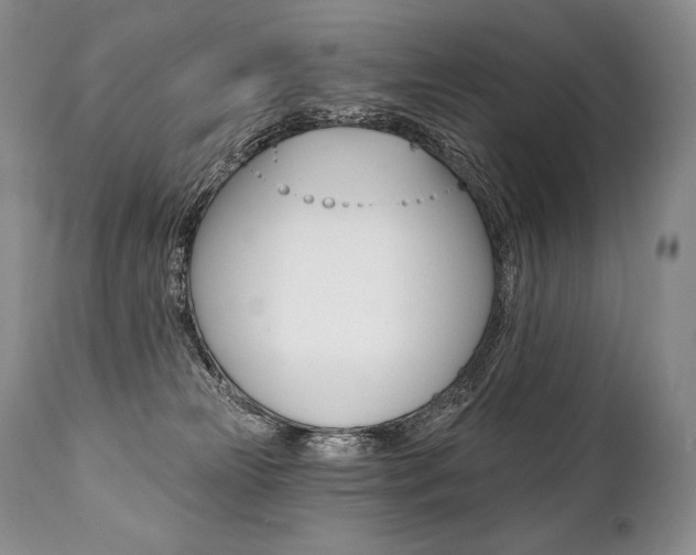 X0000112000181200908031055