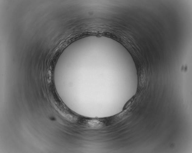 X0000112000183200908031055