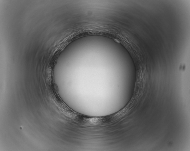X0000112000184200908031055