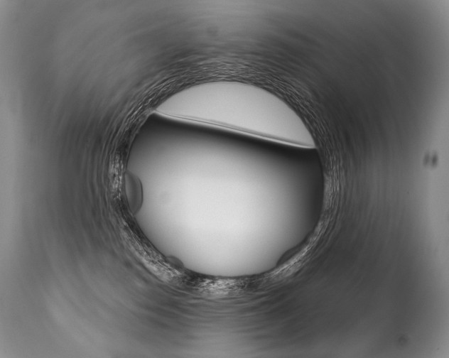X0000112000186200908031055