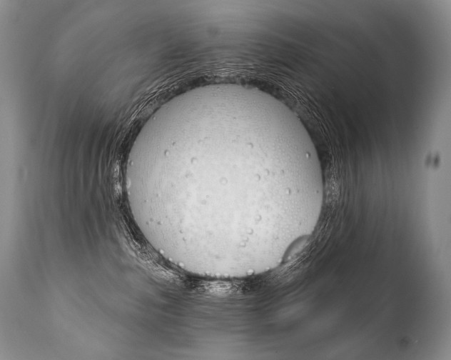 X0000112000187200908031055