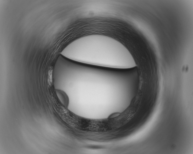 X0000112000190200908031055