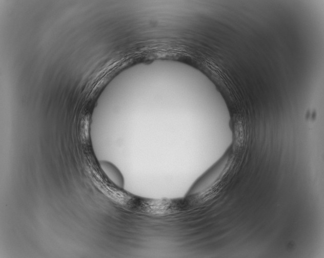 X0000112000191200908031055