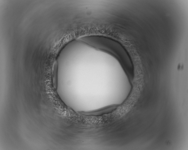 X0000112000192200908031055