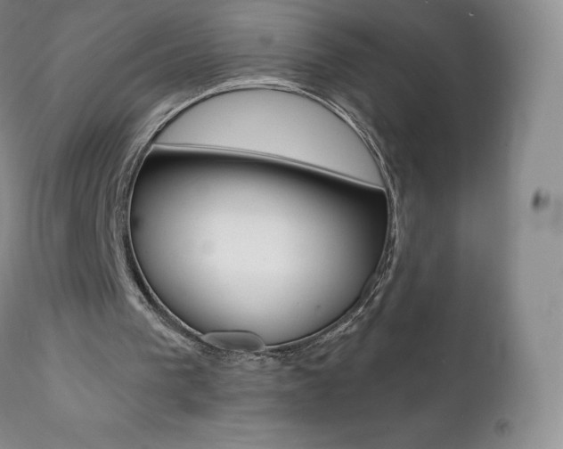 X0000112000193200908031054