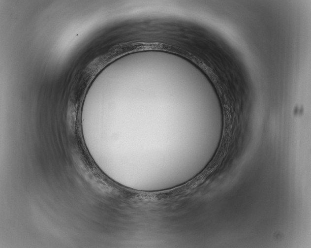 X0000112000194200908031054